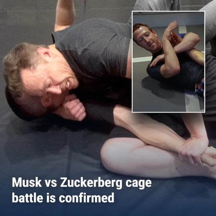 من المتوقع أن يدرّ النزال المرتقب في قفص بين قطبَي التكنولوجيا إيلون ماسك ومارك زوكربيرج ملايين الدولارات