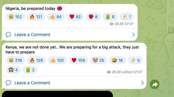 تنشر المجموعة على قناتها، التي يتابعها نحو 120 ألف شخص، باللغة الإنجليزية والروسية والعربية