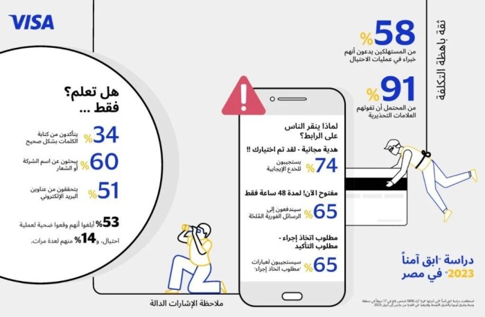 في أحدث دراسات شركة فيزا "ابق آمنًا"