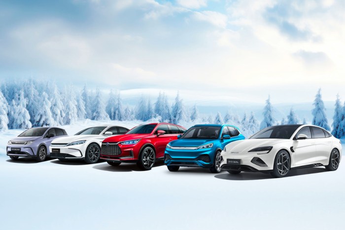 الطرازات الخمسة للسيارات الكهربائية التي ستقوم شركة BYD الصينية بتوزيعها في ألمانيا مع أفتتاح متجرها في برلين يوم الأربعاء 31 يناير 2024