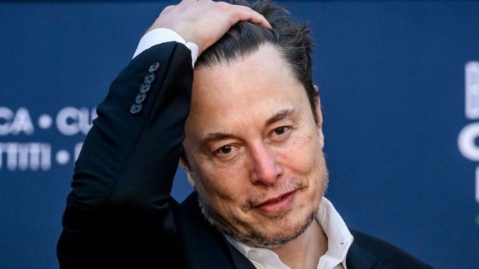 ترغب شركة نيورالينك التي يمتلكها رجل الأعمال إيلون ماسك بالمساعدة في استعادة الناس قدرتهم على الرؤية والتنقل