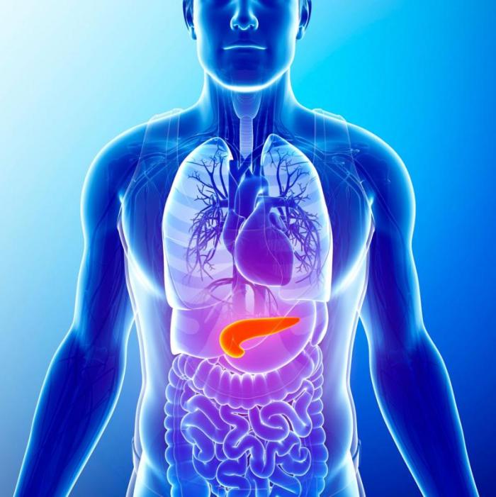 إذا لم ينتج البنكرياس كمية كافية من الإنسولين، أو لم يتمكن الجسم من استخدامه كما ينبغي، فإن ذلك يتسبب في مشكلات صحية كثيرة