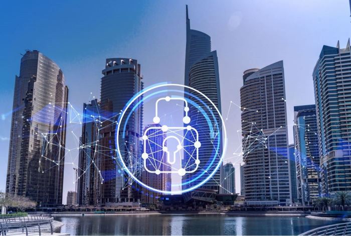 أهتمام حكومة الامارات بالأمن السيبراني