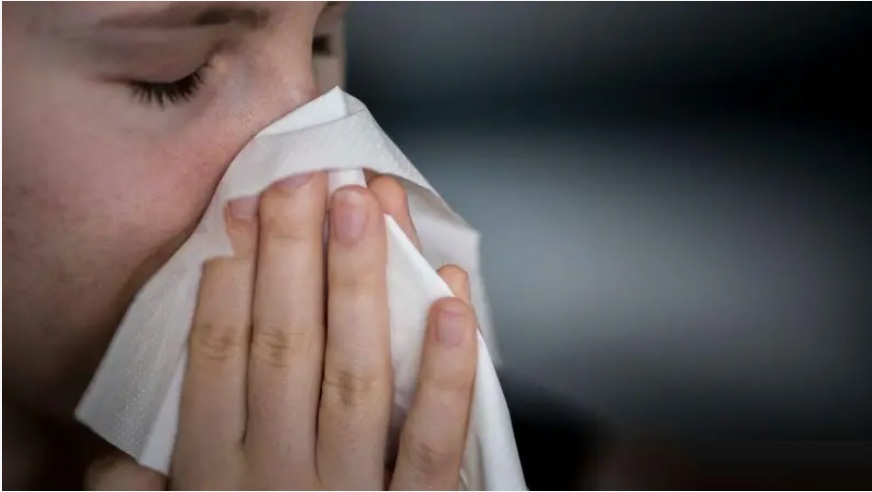 تشهد مصر ارتفاعاً ملحوظاً في معدلات الإصابة بالأمراض التنفسية