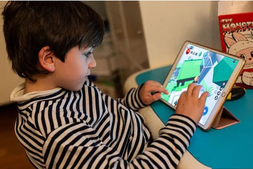 تحاول الحكومة المصرية ضمان ألا يتم الالتفاف على قرار الحجب